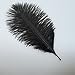 Sowder 20pcs Natural 10-12inch(25-30cm) Ostrich Feathers Plume for Wedding Centerpieces Home Decoration(Black)