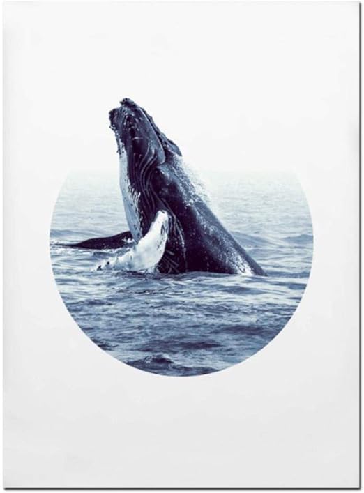 Wallpaper Inicio fotografia costera Desktop Wallpaper