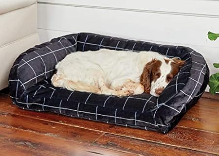 julius k9 personalised badges