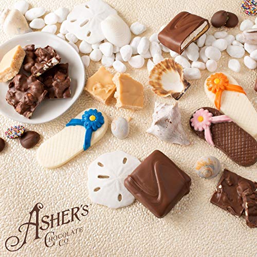 Asher's Chocolate, Gourmet Chocolate Covered Mini Graham Crackers, Small Batches of Kosher Chocolate, Family Owned Since 1892 (6 oz, Dark Chocolate)