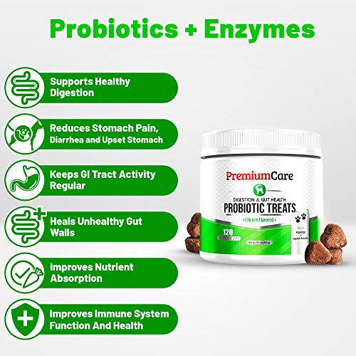 image for PREMIUM CARE Probiotics For Dogs - Advanced Dog Probiotics + Digestive