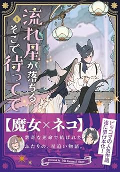 流れ星が落ちるそこで待ってての最新刊
