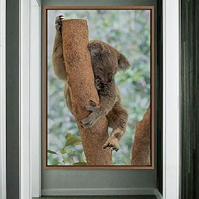 signwin Framed Canvas Wall Art Koala Bear Animals...