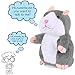 Electronic Mimicry Talking Hamster Toys - Soft Stuffed Pet Mouse Funny Plush Interactive Toy For Kids Toddler Adults Lovers, Speak It Out Game Voice Recorder Toy Best For Birthday, Xmas(Grey)