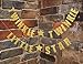 Mybbshower Gold Glittery Twinkle Twinkle Little Star Garland Birthday Party Decoration