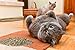 Catnip by Cat Coke, Premium Blend with Maximum Potency, Safe and Healthy Nip That Your Kitty or Cats are Sure to Love