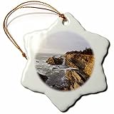 3dRose ORN_145810_1 Snowflake Ornament