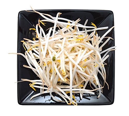 Mung Bean Sprouts - seeds