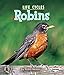 Robins (First Step Nonfiction: Animal Life Cycles)