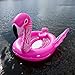 Party Bird Island - Flamingo