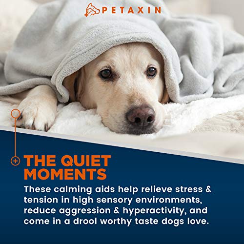 Petaxin Calming Treats For Dogs Stress & Anxiety Relief For Dogs