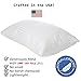 Queen Gel Fiber Bed PIllow for Sleeping - Soft Down Alternative Fill with Cotton Cover - Hypoallergenic .9 Micro Denier Fill (Queen Size, Soft) Crafted in The USA (Dobby Stripe Cotton Cover)