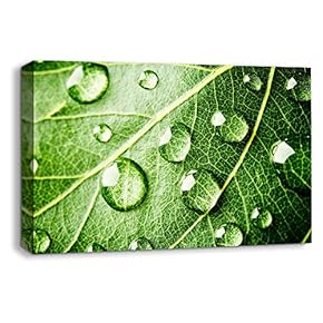 Canvas Wall Art Leaf Veins Pictures Home Wall Decorations for Bedroom Living Room Paintings Canvas Prints Framed - 12x18 inches