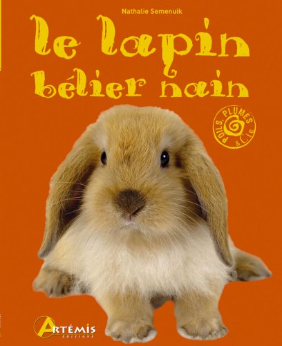 Le  lapin bélier nain