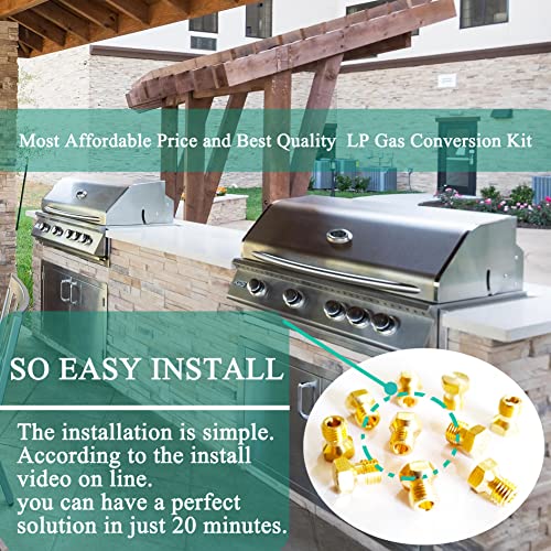 MEANHDAG Grill LP Gas Conversion Kit for er, Brass Jet Nozzle for