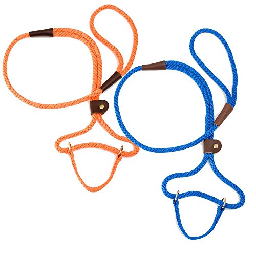 Mendota Dog Walker 3/8" X 6' - Hunter Green