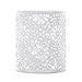 Crystallove Metal Hollow White Pencil Holder for Desk