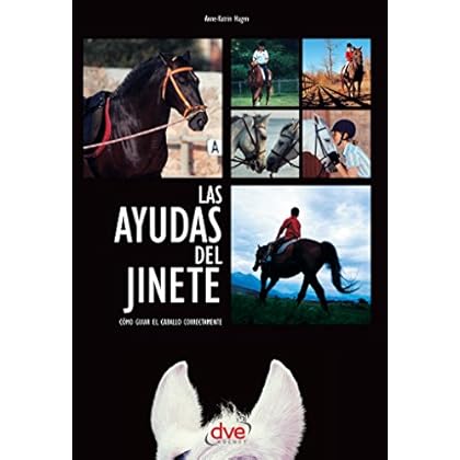 Las ayudas del jinete. Cómo guiar el caballo correctamente Las ayudas del jinete. Cómo guiar el caballo correctamente