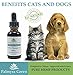 Natural Pet Hemp Oil Drops - 250mg 1oz. - Organic - Full Spectrum Supplement - Supports Calming, Anxiety, Stress, Tension, Arthritis Pain, Allergies, Hip & Joint - Happy and Healthy Pet - Cats & Dogs