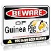 Bigtime Signs Beware of Guinea Pig Warning Sign - 9