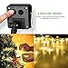 X-CHENG Outdoor String Lights - 100 LED Solar Christmas lighting Decorative Light - Patio - Deck - Party - Christmas Tree - Provide Christmas Fairy Decorative Light (2 pack)(33 FT)