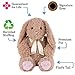 Vermont Teddy Bear Bunny Stuffed Animal - Soft Stuffed Animals, 20 Inch, Super Soft