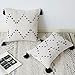 Bigcozy Tassels Boho Throw Pillow Cover - Square Decorative Pillows Hand Woven Moroccan Tribal | Neutral Beige with Black Geometric Pillow Case Pillowcase for Sofa Couch Bedroom 18x18 Inches