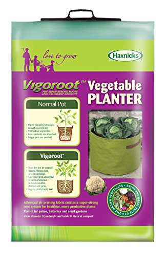 Tierra Garden 50-VIG13 Haxnicks Vigoroot Vegetable Planter