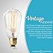 Hudson Bulb Co. Vintage Incandescent Edison Light Bulbs, 60W, E26/E27 Base, 2100K Dimmable Decorative Lights, ST58 Style Warm Glow, Antique Squirrel Filament for Outdoor and Indoor Use - 6 Pack