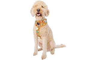 Sassy Woof Dog Adjustable Harness - Garfield™ - L, Breathable Mesh, No Pull Design with Two D-Rings, Patented Design, Ideal for Large Dogs - Officially Licensed