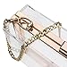 Women's Transparent Clear Purse Clutch Bag Evening Handbags Cross-Body Bag for Women NFL Stadium Approved Acrylic, Chain Strap (White)