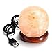 Niubity Himalayan Pink Natural Salt Lamp,USB Wooden Base Himalayan Crystal Rock Salt Lamp Air Purifier Night Light (Ball)