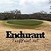 Endurant Turf Colorant – 1 Gallon Jug Revitalizes Approximately 5,000 Sq. Ft of Dormant, Drought-Stricken or Patchy Lawn