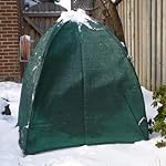 Nuvue Products 20254 Winter Shrub Cover, Hunter Green, 40-Inch