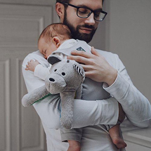 whisbear the humming bear with cry sensor