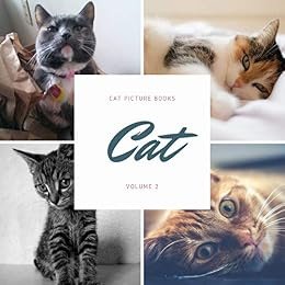 Cat Cat Picture Books Book 2 - 