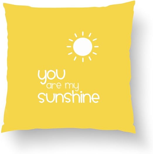 Amazon Com Zippered Pillow Covers Pillowcases One Side 16x16 Inch