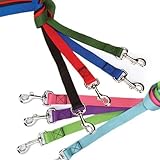 Guardian Gear Nylon Dog Lead with Nickel Plated Swivel Snaps, 5/8-Inch, Red