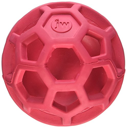 JW Pet Company 43510 Treat N Squeak Toy for Pets, Assorted (Red/Green/ Blue)