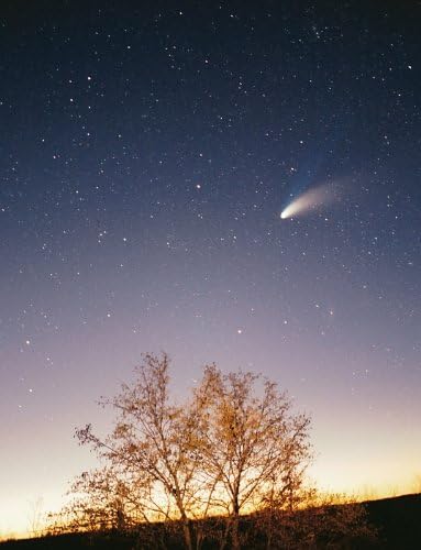 Photographs - Comet Hale Bopp Photo Space Astronomy Photos 8x10