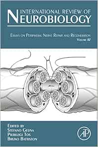 Essay about nervous tissue picture
