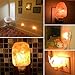 MAYMII·HOME 2 Pack Salt Night Light Lamp, Pink Natural Himalayan Salt Lamp, Mini Carved Salt Crystal Night Light Wall Light with Bulbs, Saftety Approved Wall Plug, Bedroom Decoration and Lighting