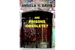 Are Prisons Obsolete? (Open Media Series)