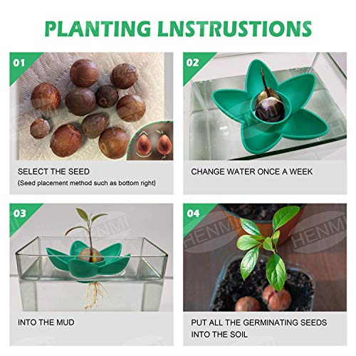 HENMI Avocado Planting Seed Germinator Bowl Avocado Tree Growing Kit Garden Gifts for Indoor Balcony Planting/Kitchen Garden Seed Starter Gift/Practical Gardening Gifts for Women