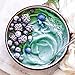 Suncore Foods Organic Aqua Blue Spirulina Powder, 2 oz (1 Bag), Gluten-Free, Non-GMO, Plant-Based, Perfect for Food Coloring, Baking, Drinks, Smoothies, and More