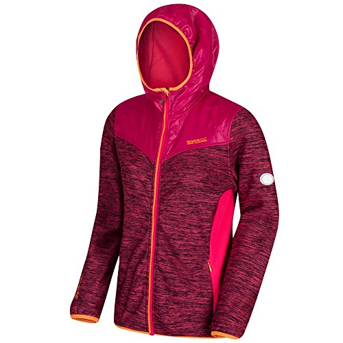 Regatta Great Outdoors Womens/Ladies Harra Wind Resistant Softshell Jacket (14) (Bright Blush/Dark Cerise)