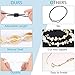 Puka Shell Necklace,4 PCS Seashell Necklace Choker for Women Men-Vsco Shell Necklace Handmade Fashion Hawaiian Cowrie Shells Adjustable Necklaces for Girls Women Men