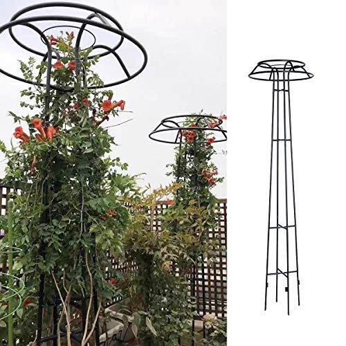 XJAXY Rankhilfe, Kletterhilfe, 80.7in Garten Gitter für Kletterpflanzen und Blumen, Metallpflanze Trellis für den… – Bild 4