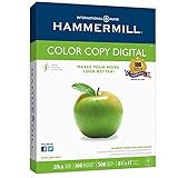 Hammermill 102467 Copy Paper, 100 Brightness, 28lb, 8 1/2 x 11, Photo White, 500/Ream