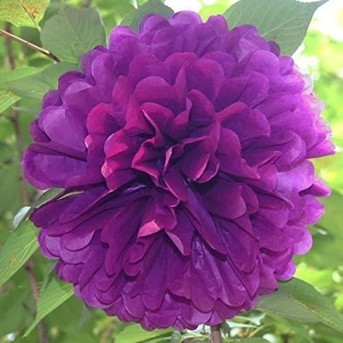 dreammadestudioSet of 5pc Tissue Paper Pompoms Hanging Flower Balls Wedding Party Bridal Shower Nursery Decoration (8Inch)